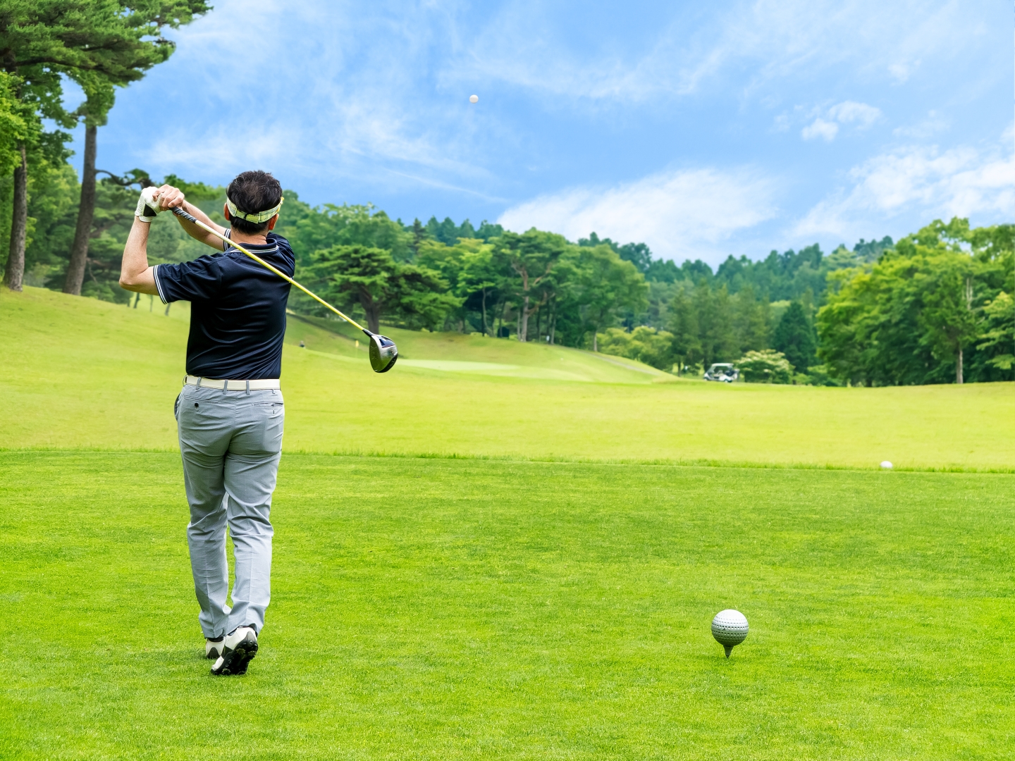ティーグラウンドで黒いシャツとグレーのパンツを着たゴルファーがドライバーでスイングしてボールを打ち上げ、手前にティーに乗ったボールと奥に広がるフェアウェイと木立が見える風景。