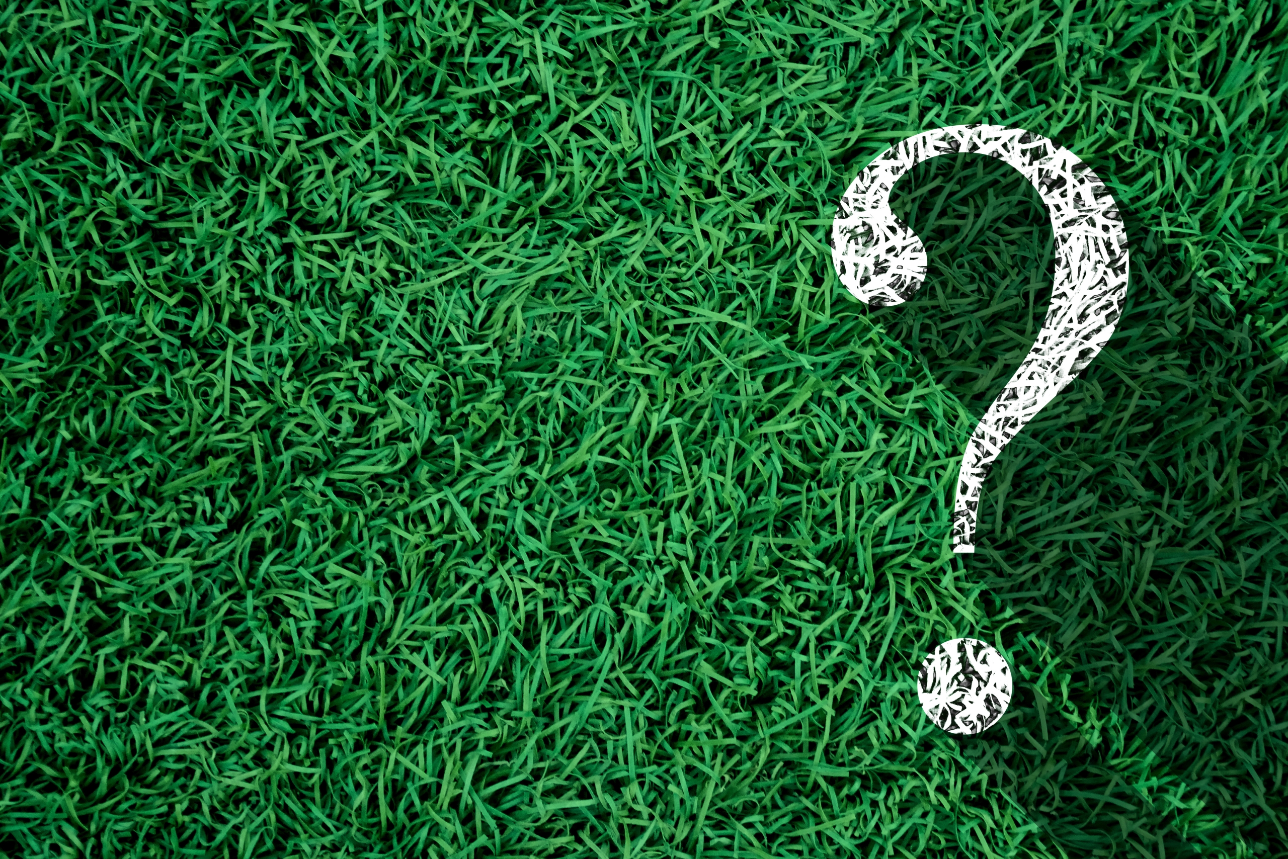 人工芝の緑を背景に、右側に白い芝目のテクスチャで描かれた大きな疑問符（？）がある。